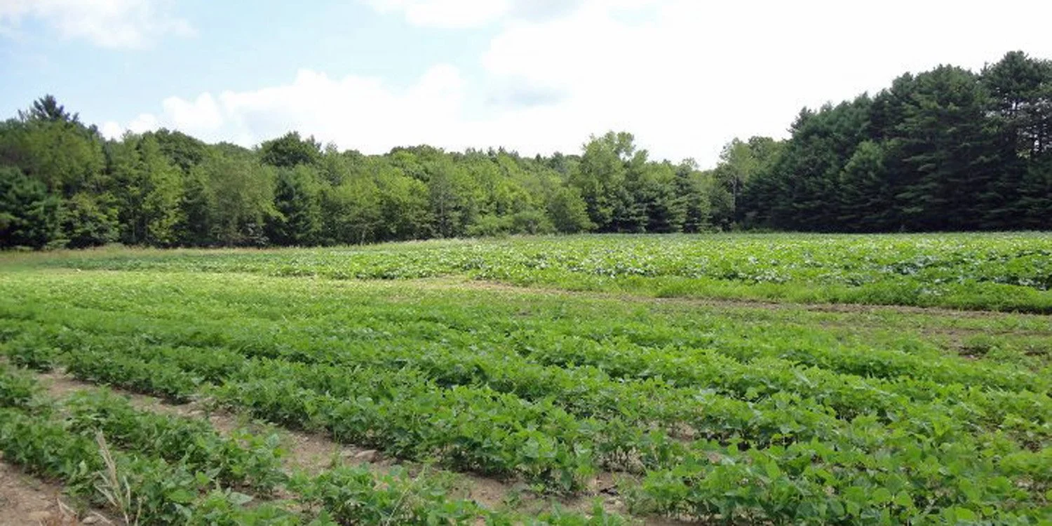 The Farm — Breezy Gardens